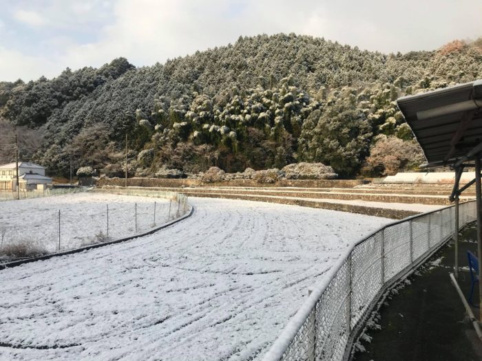 府中テンパール_南原工場雪04