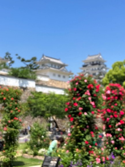福山城観光