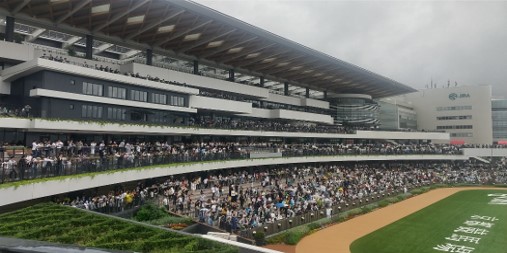競馬観戦